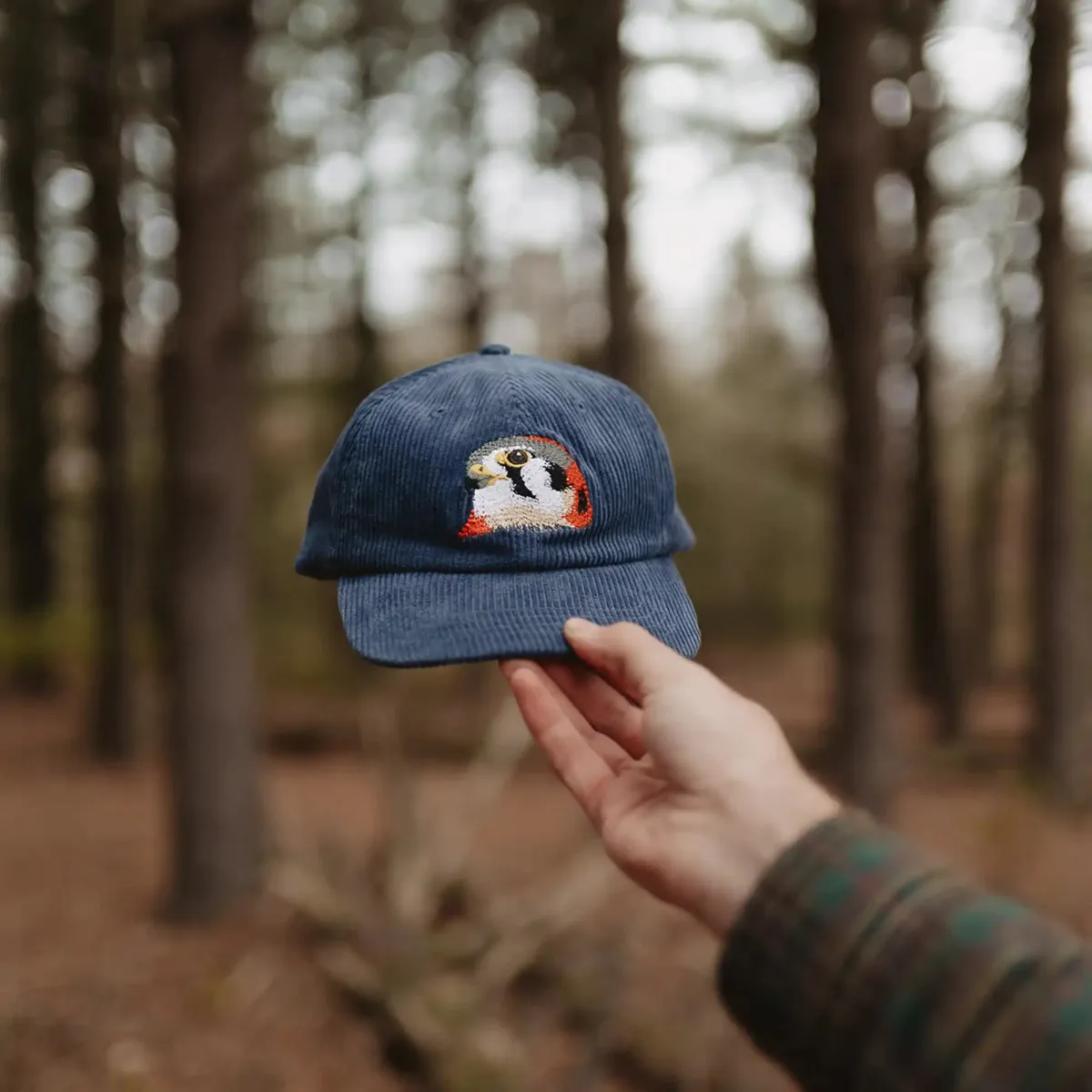 American Kestrel Corduroy Hat