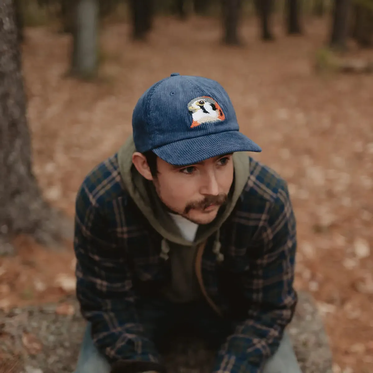 American Kestrel Corduroy Hat