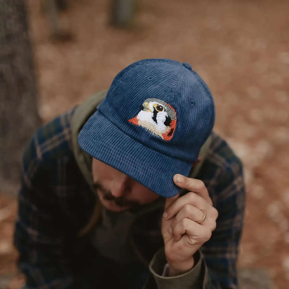 American Kestrel Corduroy Hat