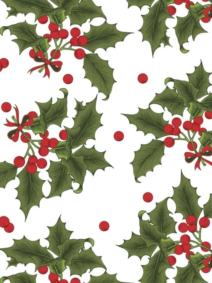 Holiday Print Napkins (set of 4)