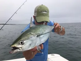 Saltwater Edge Albie Shootout 2024