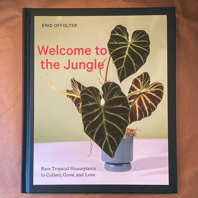 Welcome to the Jungle