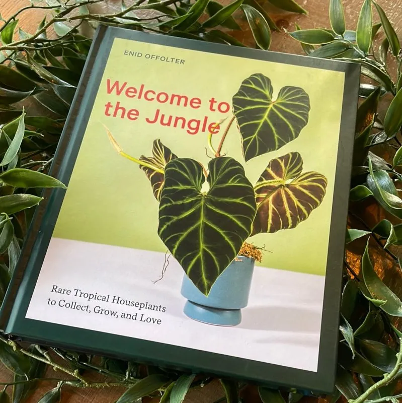 Welcome to the Jungle